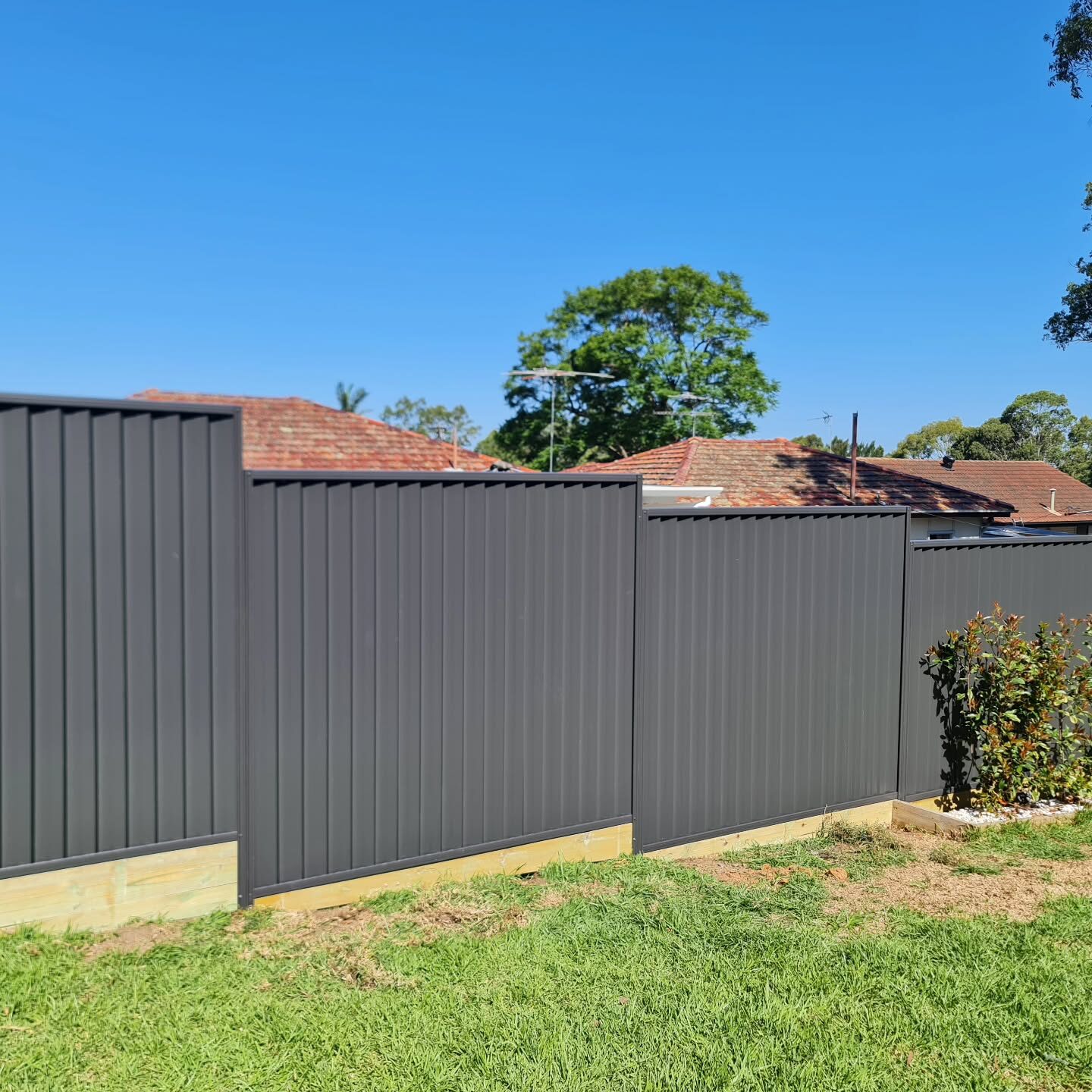 Colorbond — Charcoal boundary on timber plinth
