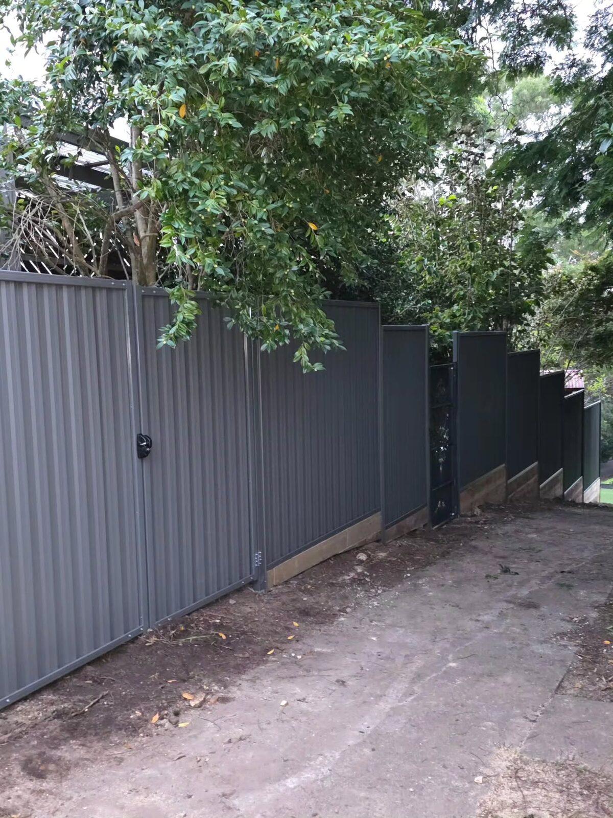 Colorbond + Gate — Side access with custom gate